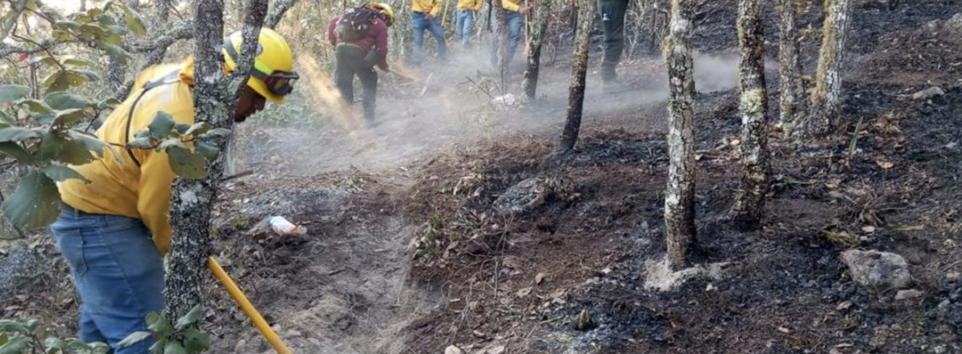Liquidado al 60% fuego en Quiaviní, pero incendios no dan tregua a Oaxaca, hay dos más